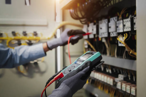 Best Electrical Panel Upgrades  in Beesleys Point, NJ